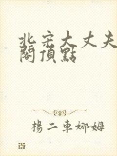 北宋大丈夫笔趣阁顶点封面