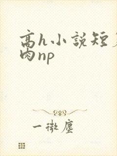高h小说短篇纯肉np