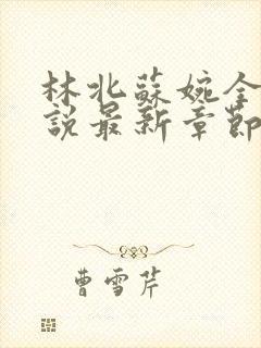 林北苏婉全本小说最新章节