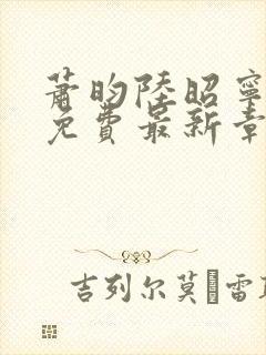 萧昀陆昭宁全文免费最新章节阅读封面