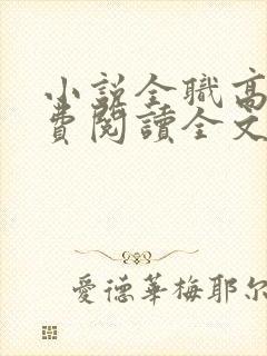 小说全职高手免费阅读全文无窗口