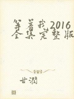 等着我2016全集完整版免费观看