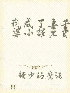 我成了妻子的老婆小说免费阅读全文