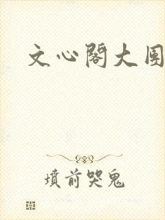 文心阁大团结封面