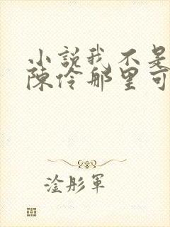 小说我不是戏神陈伶那里可以看