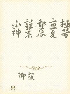 小说都市极品医神叶辰夏若雪孙怡