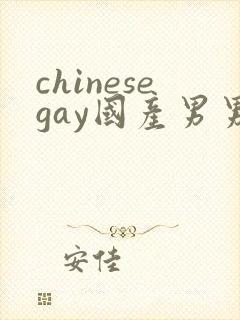 chinesegay国产男男封面