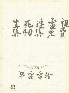 生死连电视剧全集40集免费观看高清