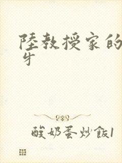 陆教授家的小月牙