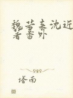 魏若来沈近真原著番外