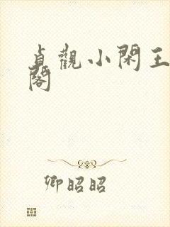 贞观小闲王笔趣阁