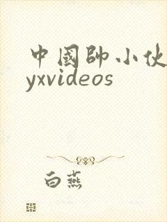 中国帅小伙gayxvideos