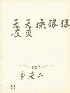 天天操狠狠操夜夜爽封面
