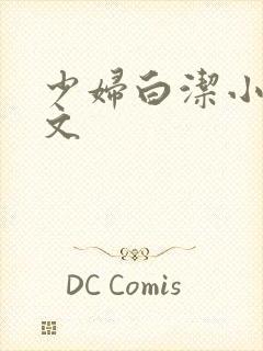 少妇白洁小说全文