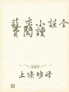 苏奕小说全文免费阅读封面