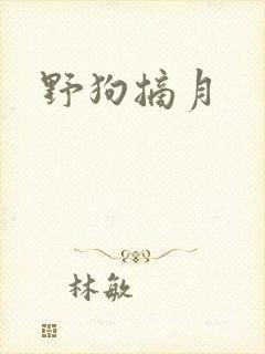野狗摘月