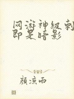 网游神级刺客我即是暗影