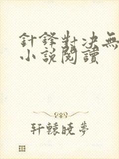 针锋对决无删减小说阅读