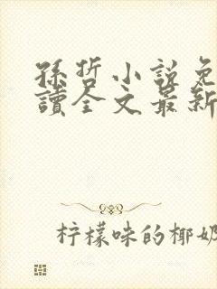 孙哲小说免费阅读全文最新章节封面