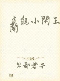 贞观小闲王笔趣阁