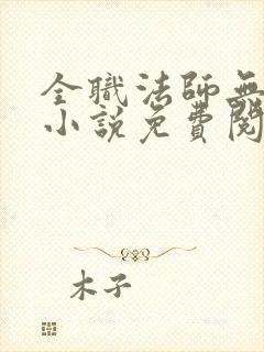 全职法师无弹窗小说免费阅读