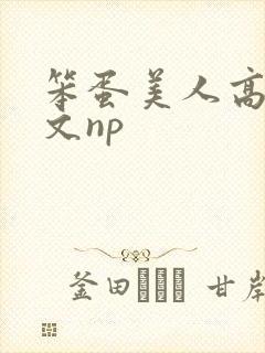 笨蛋美人高辣h文np封面