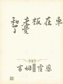 和老板在车里做了爱