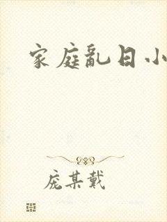 家庭乱日小说封面