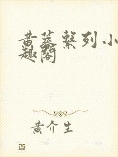 黄蓉系列小说笔趣阁