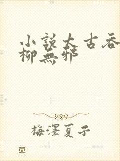 小说太古吞天诀柳无邪封面