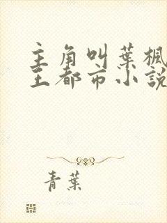 主角叫叶枫的兵王都市小说