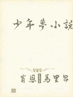 少年梦小说
