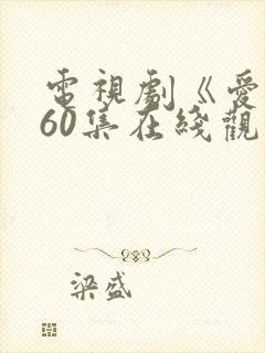 电视剧《爱》全60集在线观看