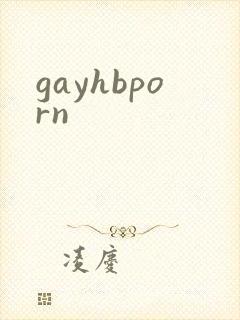 gayhbporn