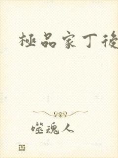 极品家丁后传封面