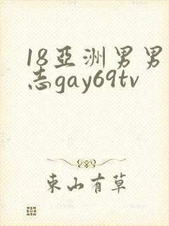 18亚洲男男同志gay69tv