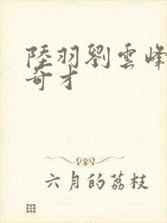 陆羽刘云峰鸿途奇才封面