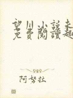 望川小说未可可免费阅读趣笔阁封面