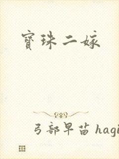 宝珠二嫁