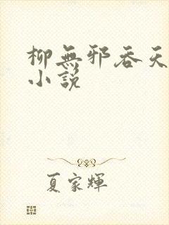 柳无邪吞天神鼎小说