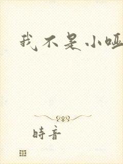 我不是小哑巴封面
