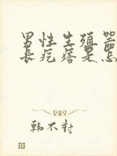 男性生殖器根部长疙瘩是怎么回事