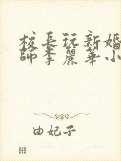 校长玩新婚女教师李丽华小说封面