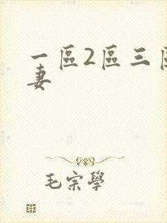 一区2区三区人妻