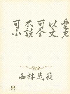 可不可以爱上我小说全文免费阅读封面