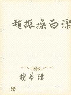 赵振操白洁封面