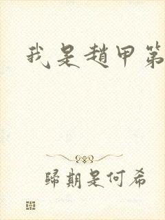 我是赵甲第小说