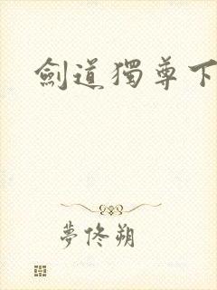 剑道独尊下载封面
