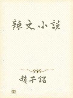 辣文小说