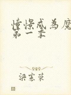 憧憬成为魔少女第一季